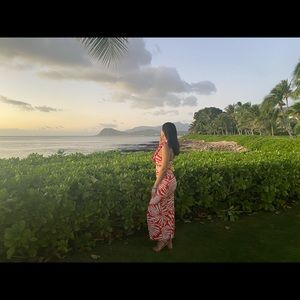 Love Shift Midi Dress - Red/Combo XS- wore once